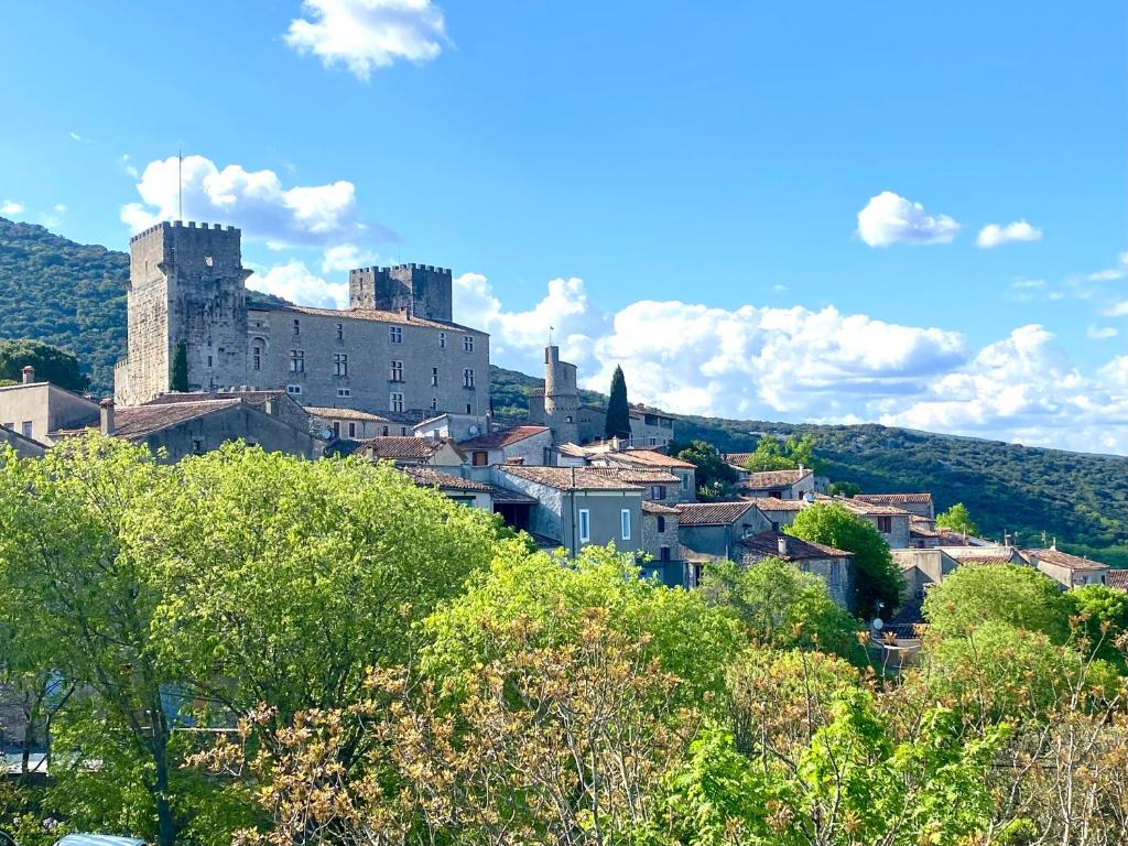 a town with a castle on top of a hill at Gîte de charme au pied du Château de Brissac in Brissac