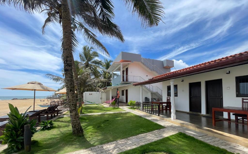 a house on the beach with a palm tree at Saman Beach Guest House in Galle
