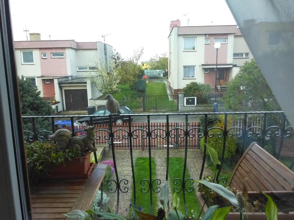 Balkón nebo terasa v ubytování Ubytování Irena