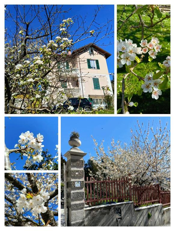 b&b Casa Galletti - Housity