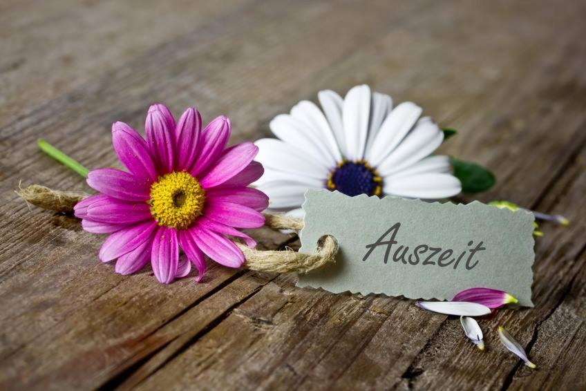 Kuschelige Ferienwohnung - Appartement