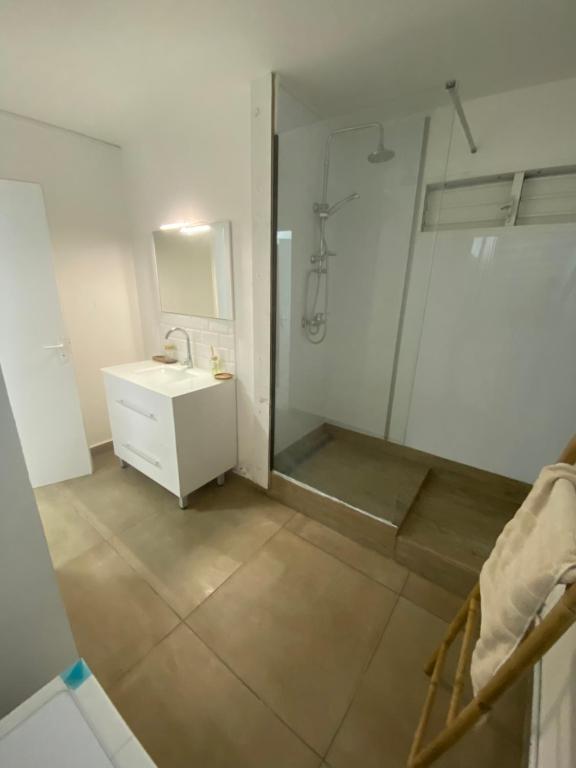 a bathroom with a shower and a sink at Maison Dousè in Sainte-Rose