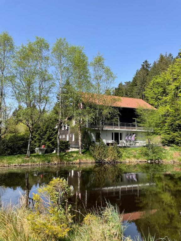 a house with a pond in front of it at Le CHALET Apart Hotel Autonome in Gerbépal