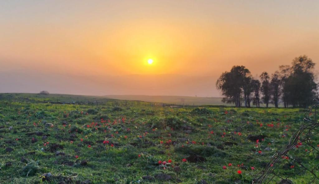 בריאה אירוח בטבע – תמונה 8