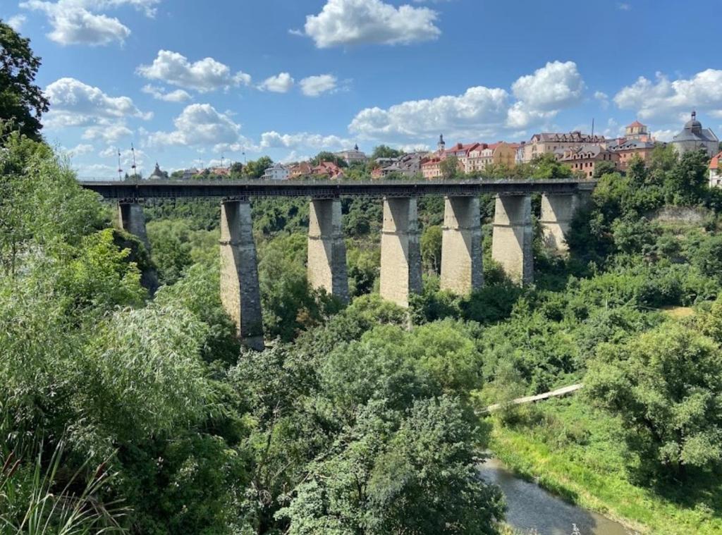 a bridge over a river with trees and buildings at Апартаменти над каньйоном in Kamianets-Podilskyi