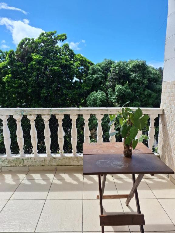 a plant sitting on a table on a balcony at Silsol in Itacaré