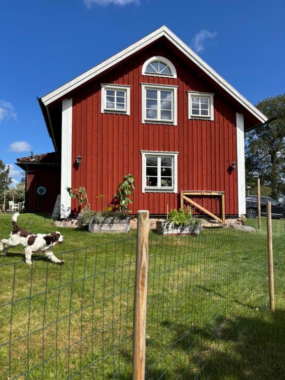 Torpidyll nära sjö