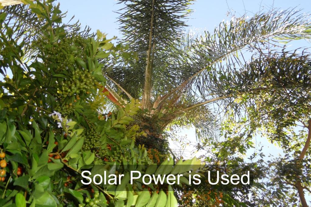 a palm tree with the words solar power is used at Rosy Palm Sunrise in Upington