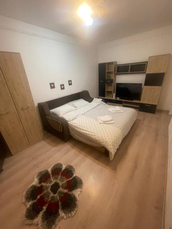 a bedroom with a large bed in a room at Garsoniera in Bacău