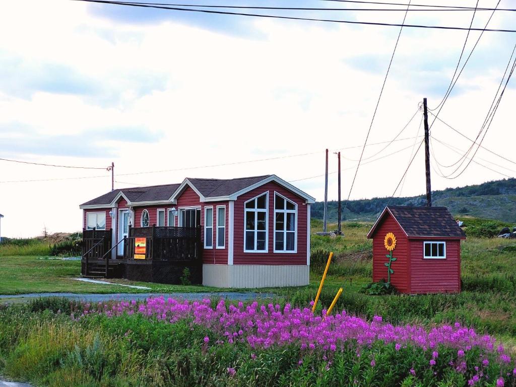 a small house in a field with purple flowers at Crimson Sky Cottage in Twillingate