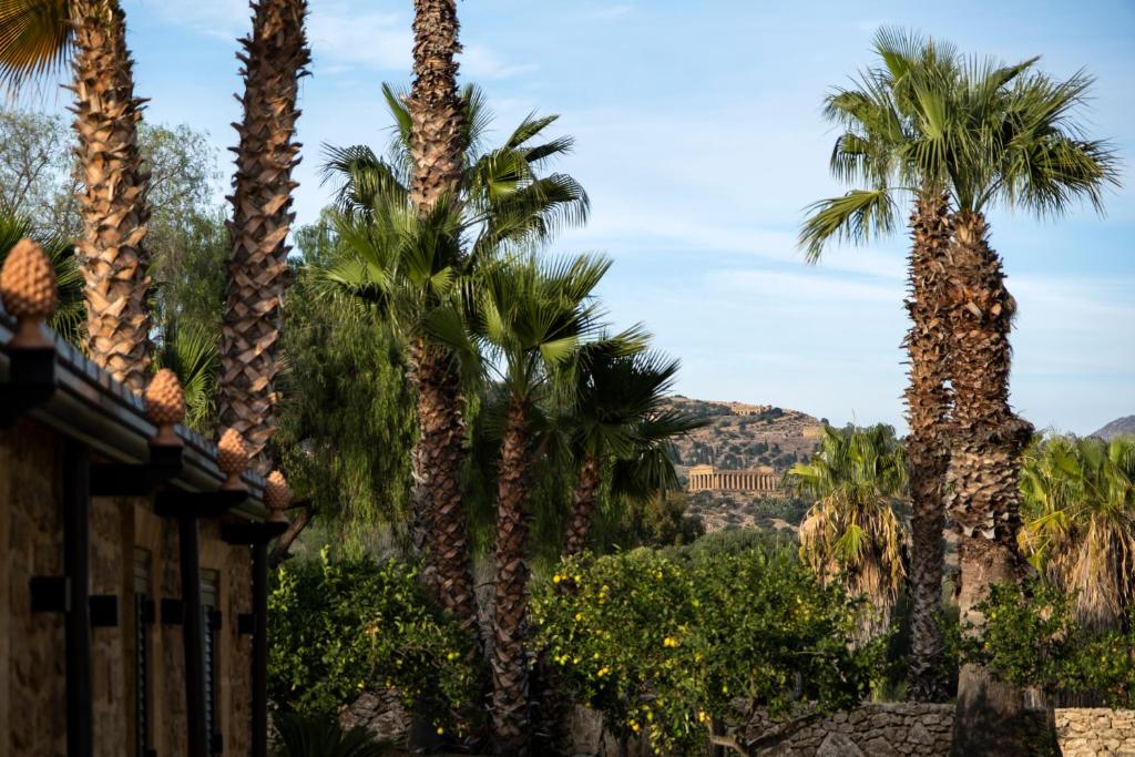 a group of palm trees in front of a house at Villa Demetra Resort in San Leone