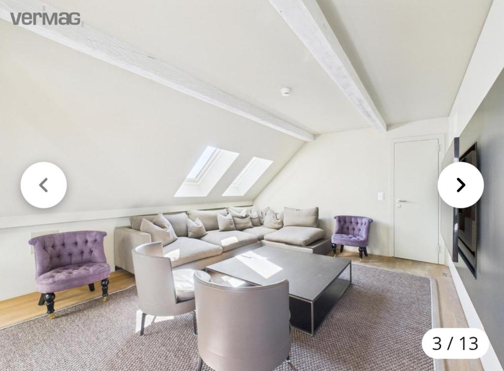 Luxury penthouses in Zürich center