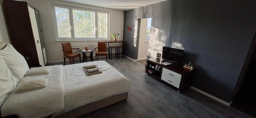 a bedroom with a bed and a television and chairs at Stylish 1-bedroom apartment for 3 with balcony, free parking & river views in a quiet area in Prievidza