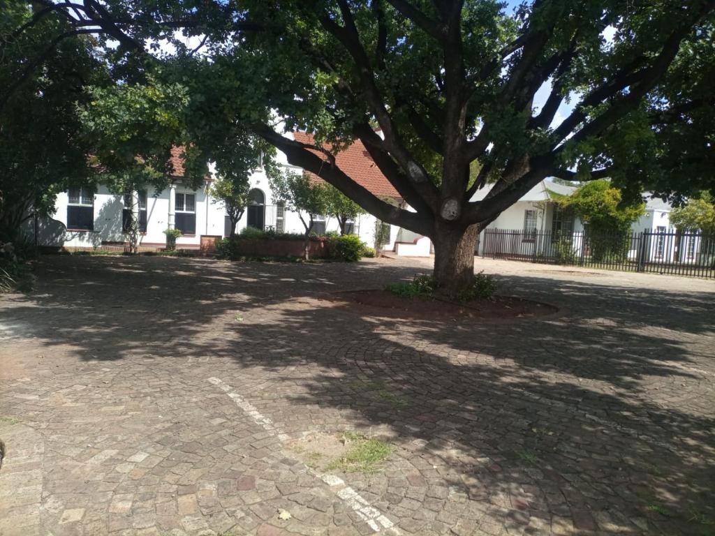 a tree in the middle of a brick driveway at Zanem Guest House in Potchefstroom