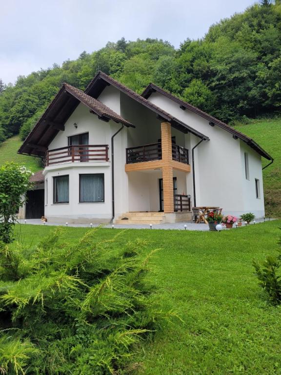 a house with a green lawn in front of it at Cabana Valea Muntelui in Poiana Mărului