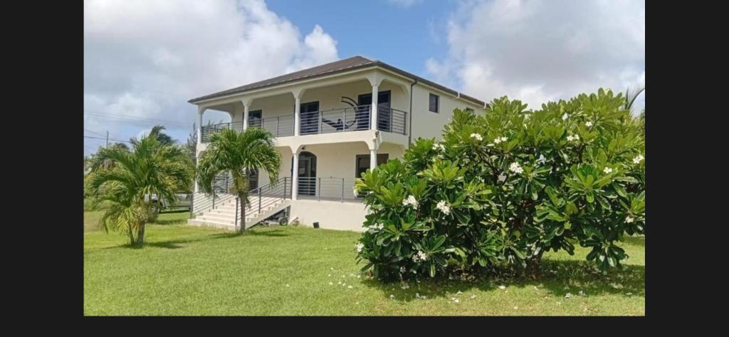 a white house with a tree in front of it at Korah house in Saint Philip