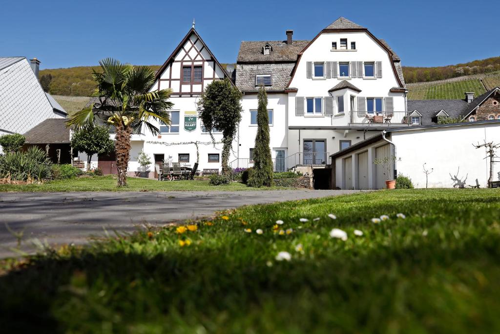 a white house with a palm tree and a street at Apartment MOSELGARTEN - ÜberSchwang in Piesport