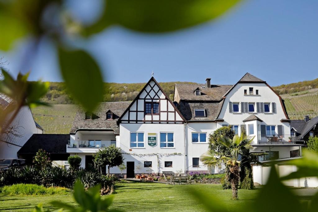 a large white house with a green yard at Apartment MOSELGARTEN - Domherren-Suite in Piesport
