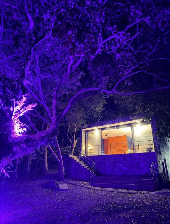 a house lit up at night with purple lights at Deluxe loft with direct access to the lagoon in Momoxpan