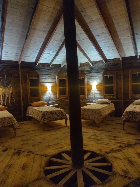 Selva Madre misionera- Refugio de la Geometria Sagrada