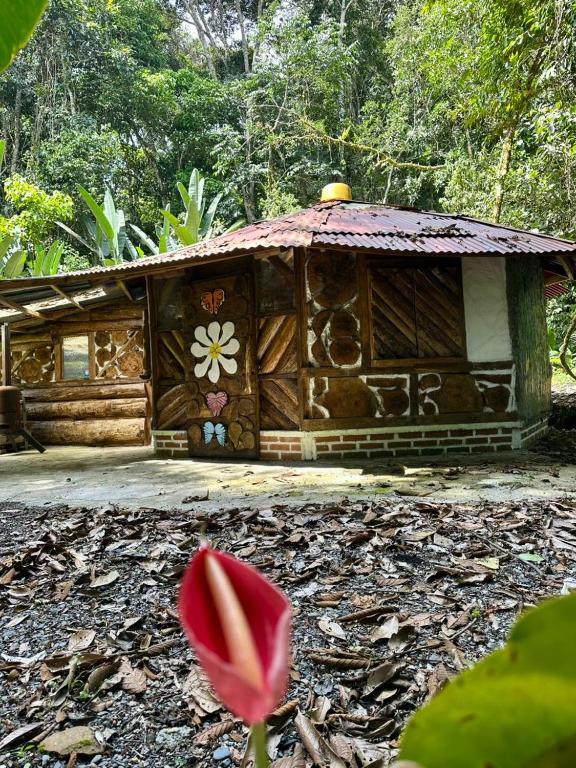 a small building with a red flower in front of it at Bosque de Oro in Apía