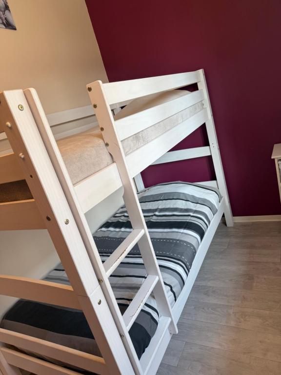 a bunk bed with a ladder in a room at Petite Chambre lit Superposée in Toul