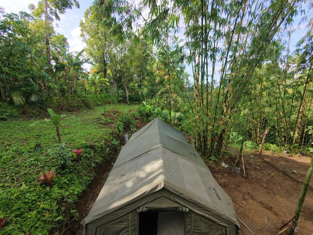 Jardí fora de Lombok Glamping