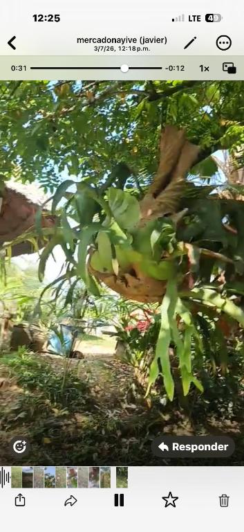 El Encanto de las Aguas