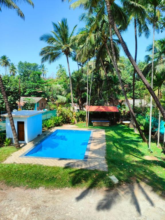 a villa with a swimming pool and palm trees at Awas Beach Stays in Avas