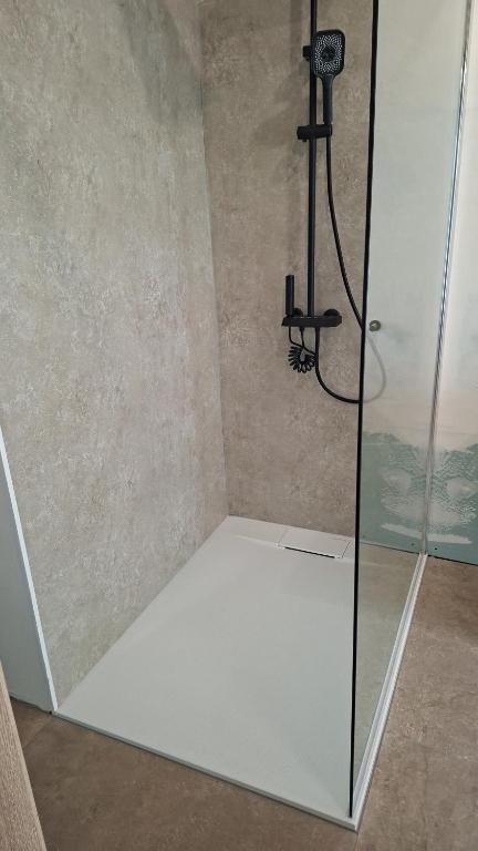 a shower with a glass door in a bathroom at appartement luna 1 in Dinant