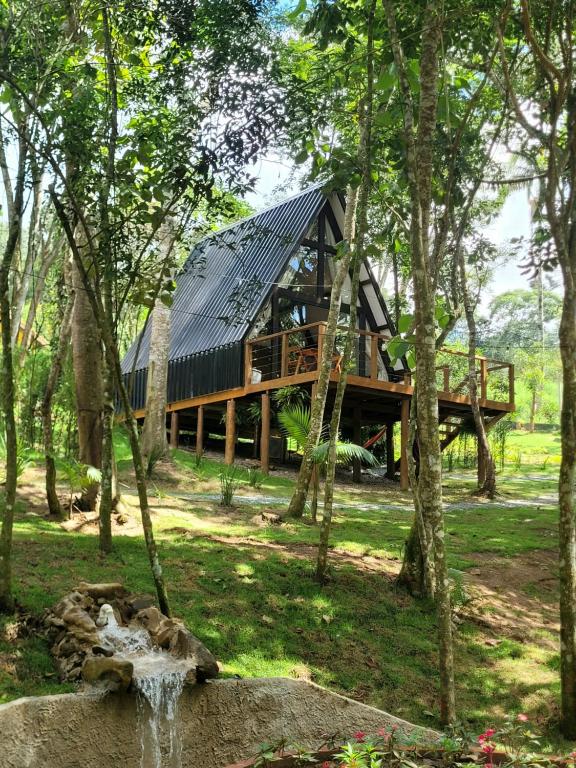 a house with a solar roof in the woods at Chalé Malbec, Estrada do Vinho com cafe da manha e hidro in São Roque