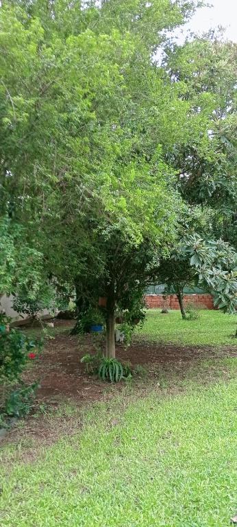 Apartamento de 1 Quarto