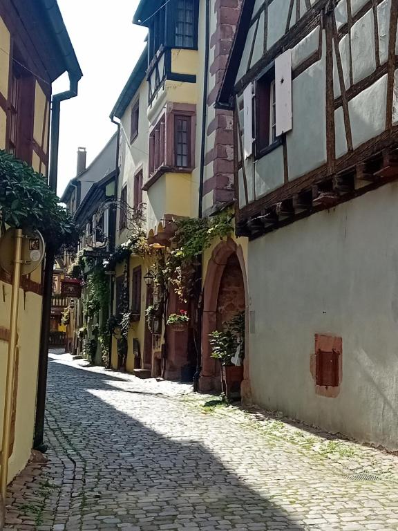Le Bredele Meublé 2 etoiles Cité de Riquewhir – photo 18