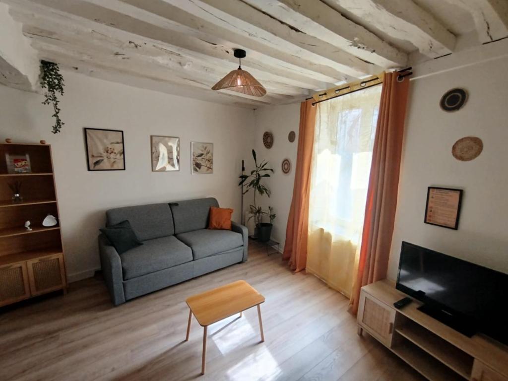 a living room with a couch and a television at Le Petit Cocon d'Orléans in Orléans