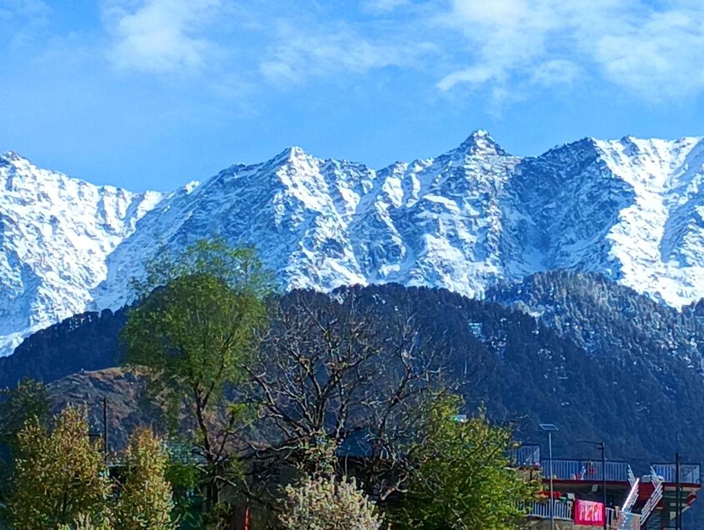 a snow covered mountain with trees in front of it at Anchal House in Dharamshala