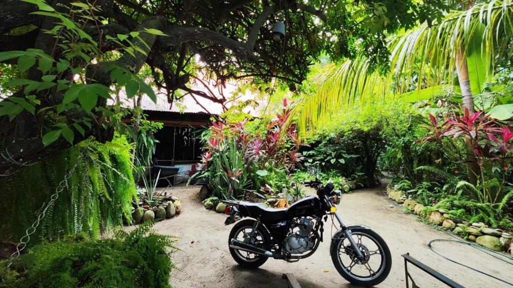 a motorcycle parked in the middle of a garden at Orlando house in Buritaca
