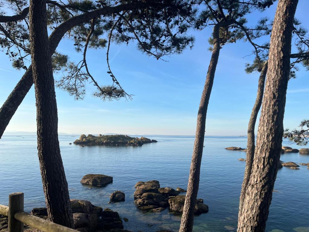 a view of the ocean through trees at Pegadas no mar in Ribeira