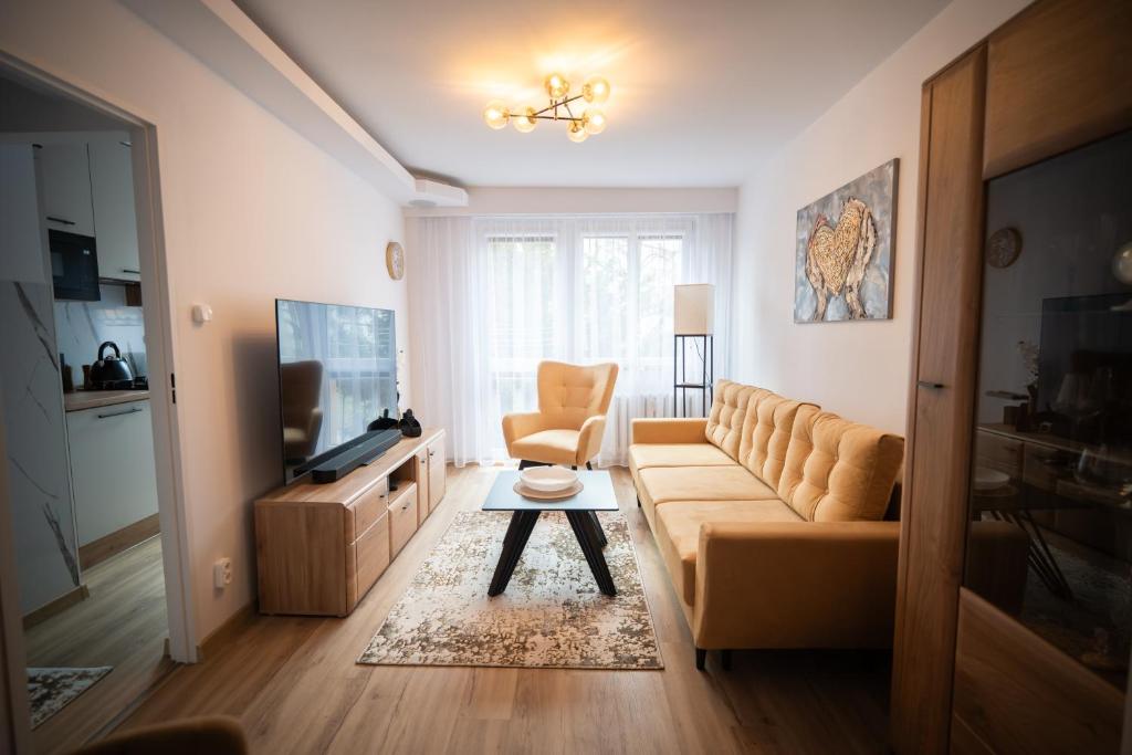 a living room with a couch and a tv at ApartCieszyn - Apartament Liburnia in Cieszyn
