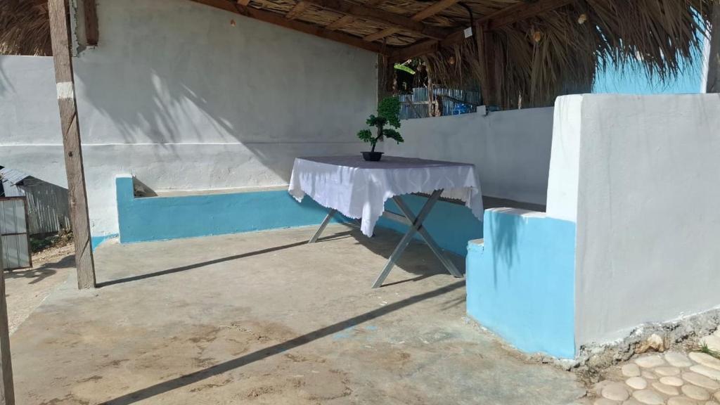 a table with a potted plant on it in a room at Villa hotel Gabi Larimar in La Ciénaga