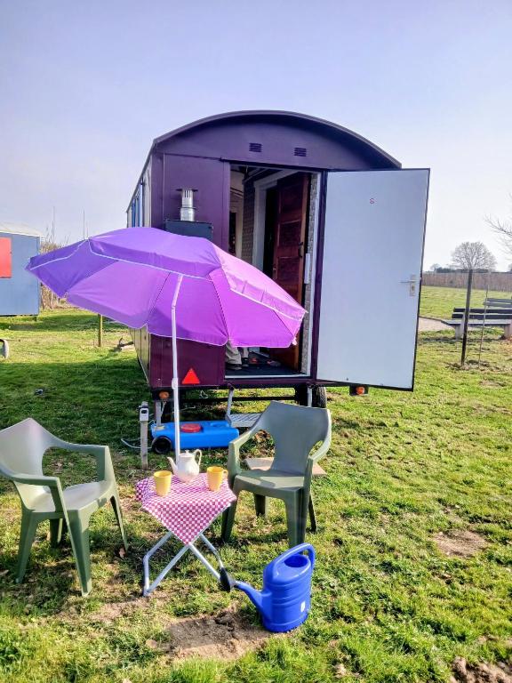 a group of chairs and a table with a purple umbrella at Pipowagen Paarse Opal in Lienden