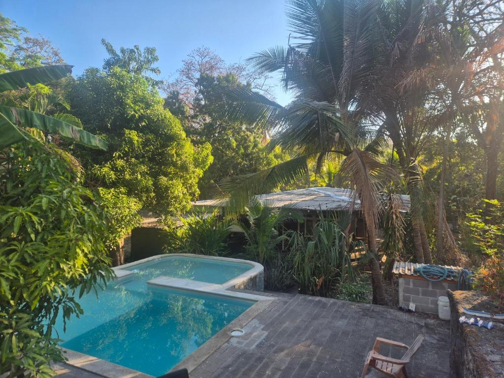 a swimming pool in the middle of a garden at Hammock plantation in El Zonte