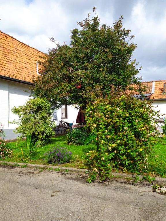 Entre Terre et Mer La Baie d'Authie - Casa De Un Dormitorio