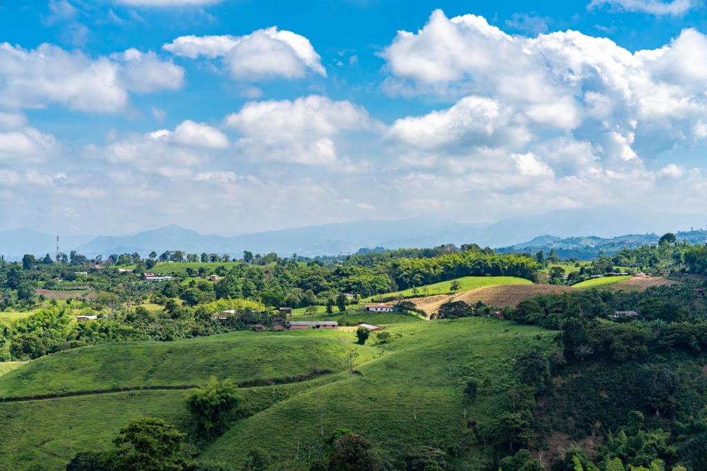 Finca Cafetera Madrigal - Café Sortiz