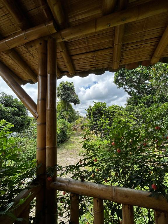 Finca Cafetera Madrigal - Café Sortiz