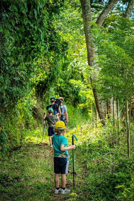 Finca Cafetera Madrigal - Café Sortiz