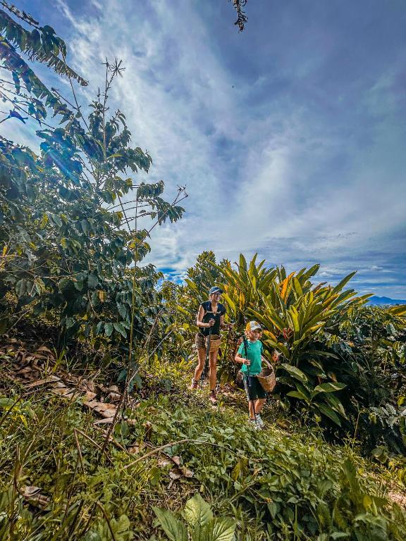 Finca Cafetera Madrigal - Café Sortiz