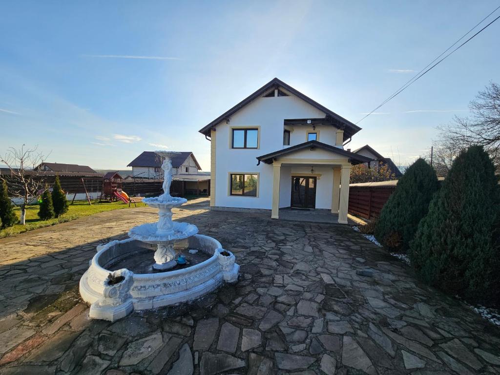 a house with a fountain in front of a house at Vila Medana- Neamt in Humuleşti