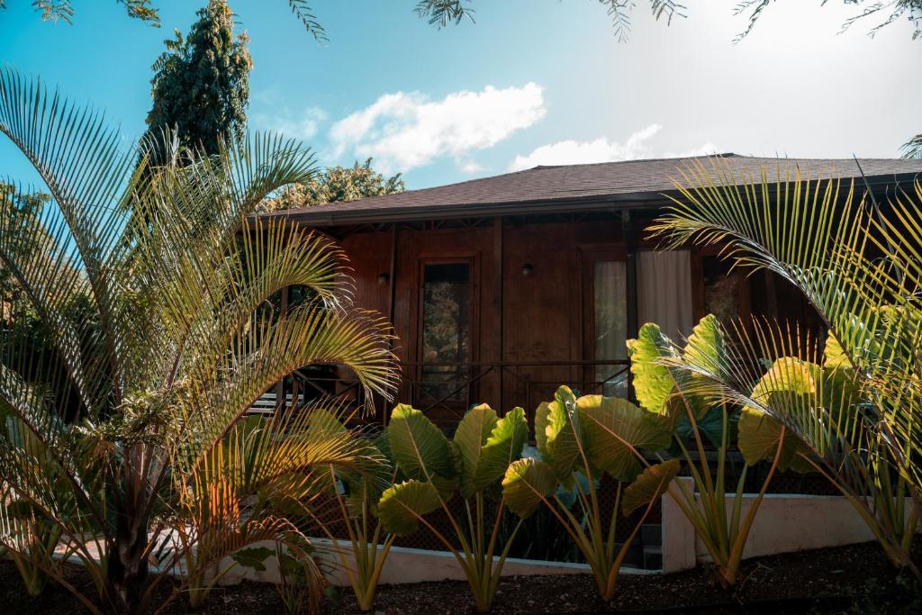 a house with plants in front of it at Star Apple Inn in San Andrés