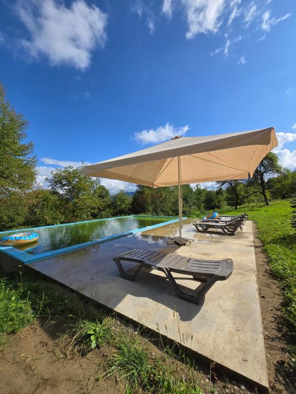 a pool with two lounge chairs and an umbrella at LeGora in Pryborzhavsʼke