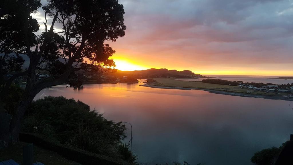 a sunset over a body of water with a tree at Raglan Vista in Raglan